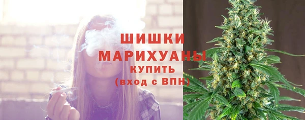 jwh Новозыбков