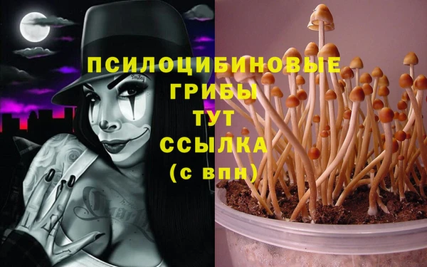 спиды Алексин